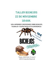 Taller Bichejos. 22 nov.