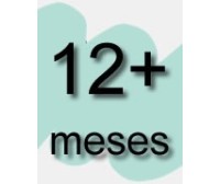 12 meses +